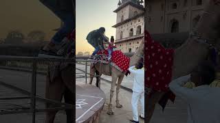 Darshika ko mamma ne camel 🐫 par nahi baithaya 🔥🔥🔥shorts ytviral ytshorts youtube [upl. by Guod]