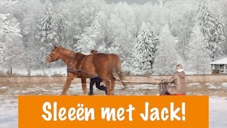 Sleeën met Jack  PaardenpraatTV [upl. by Edecrem415]