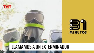 ¡Aún no se va el ratón llamamos a un exterminador  31 Minutos [upl. by Henden]