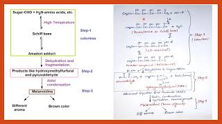 Maillard Reaction  Food Chemistry  Food Safety Officer  CFSO  Food technology [upl. by Wehrle684]