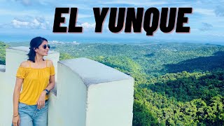 El Yunque National Forest Puerto Rico  Travel Guide  Fajardo Luquillo [upl. by Ahsote943]