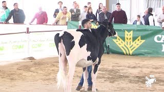 La Feria Agroganadera se celebrará entre los días 25 y 28 de abril [upl. by Philan]