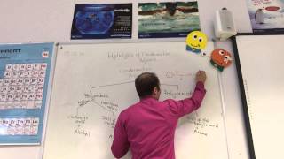 Hydrolysis of polyesters and polyamides from wwwChemistryTuitionNet [upl. by Herod492]