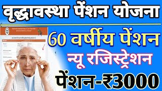 60 Years Old Pension Yojana 2024 Online Apply  old age pension yojana 2024 up  online registration [upl. by Dorman]