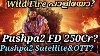 Pushpa2 Movie FD Collection PredictionTheatre ResponsePushpa2 OTT ampSatellite Rights [upl. by Napas]