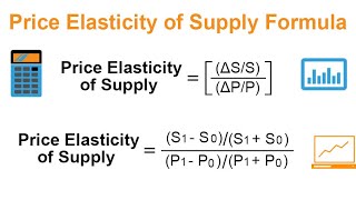 Economics IGCSE Price Elasticity of Supply [upl. by Elnukeda]