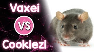 🇺🇸 Vaxei vs Cookiezi 🇰🇷 Jerma  Rats Birthday Mixtape mithew We Are the Rats [upl. by Keelia982]