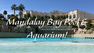 Vegas Day 2  Mandalay Bay amp Aquarium [upl. by Renmus]