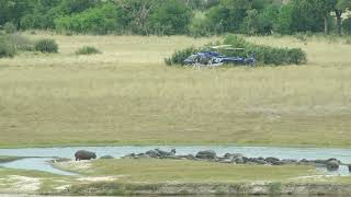 Helikoptervlucht Okavango Delta Botswana 1 [upl. by Ahsain]