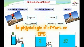 la physiologie deffort en EPS Les filières énergétique أنظمة إنتاج الطاقة في الجسم [upl. by Malita]