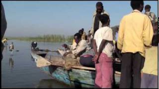 Ethiopia Birds Ziway and Awassa Fish Market [upl. by Mouldon148]