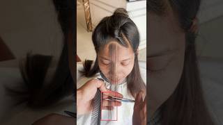 Front Face Framing Hair Cut Mini Tutorial [upl. by Romalda]