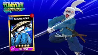 Usagi Yojimbo The 80th Level  Teenage Mutant Ninja Turtles Legends [upl. by Tterraj]