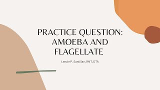 PRACTICE QUESTION AMOEBA AND FLAGELLATES [upl. by Ylram]