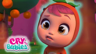 CRY BABIES Long Video SEASON 3  Full Episodes MAGIC TEARS  Kitoons Cartoons for Kids [upl. by Eiramannod]