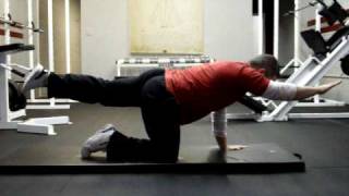 Bird Dog Exercise  Nutrex Solutions [upl. by Akiv]