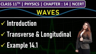 Class 11th Physics  Waves  Transverse amp Longitudinal Waves  Example 141  Chapter 14  NCERT [upl. by Jeralee506]