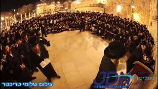 Bobov45 Rebbe Davening At The Kosel  Adar I 5784 [upl. by Nillok]