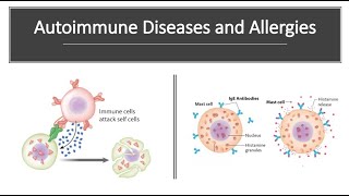 Autoimmune Diseases and Allergies [upl. by Latnahs]