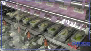 ORICS PB1000 8Up MAP apples and dip tray sealing machine [upl. by Havstad]