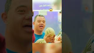 les bêtises de ludovic 😂 artus humour sylvain ludovico [upl. by Cyprian]