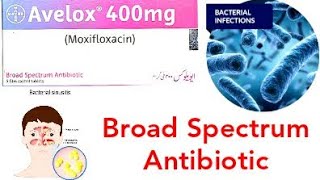 Avelox 400mg Tablet uses [upl. by Nosredna]