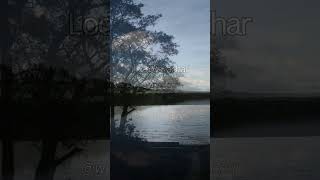 The peaceful shores of Loch Venachar in the heart of the Trossachs LochVenachar TrossachsBeauty [upl. by Nueoht943]