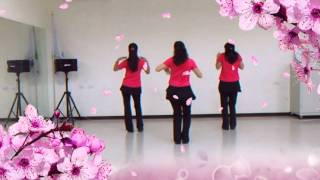 Hawaiian Hukilau line dance [upl. by Juditha]