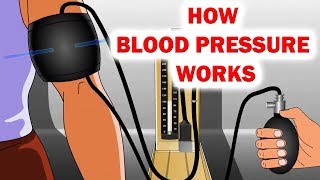 How To Read a Sphygmomanometer  Manual Blood Pressure MedicalAssistant BloodPressure [upl. by Nally]