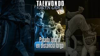 ✅PATADA LATERAL en distancia LARGA  TAEKWONDO con MARTÍN GADEA en Full Contact TV [upl. by Tabor58]