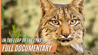 The Leap Of The Lynx  Full Documentary in High Quality [upl. by Hassadah867]