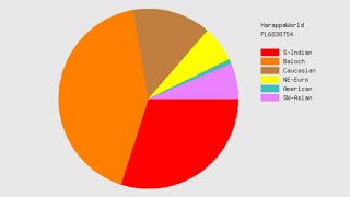 Pakistani Punjabi Arain tribe DNA results using GEDmatch HarappaWorld [upl. by Stulin]