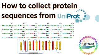 How to collect a Protein Sequence from Uniprot [upl. by Constanta49]