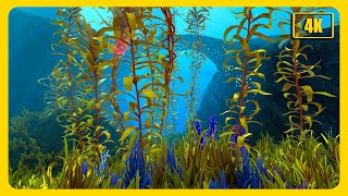 Relaxing Ambience of Subnautica Below Zero  Arctic Kelp Forest Biome [upl. by Barboza]