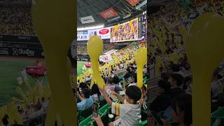 Fukuoka SoftBank Hawks PayPay Dome Fukuoka Japan 🇯🇵 japan fukuoka japanese baseball [upl. by Pessa]