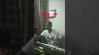 Digest 1da banton afrobeat instrumentalmusic keyboardist tune piano [upl. by Leirea]