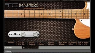 ilya efimov Electric Guitar [upl. by Einamrej]