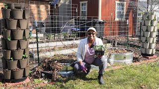 Planting Strawberries in my GreenStalks [upl. by Allissa732]