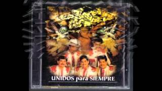 los mejores exitos de los tigres del norte mix [upl. by Nwahsed]