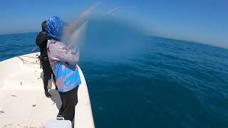 Goofish pink rod users… fishing offshorefishing [upl. by Eldoria380]