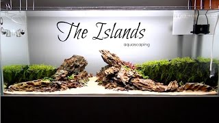 Aquascaping THE ISLANDS [upl. by Timothee]