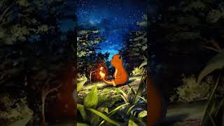 Charmander AR TCG Pocket 🔥 pokemon fypシ゚viral tcgpocket [upl. by Enileda803]