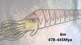 My drawings Episode I part 2  Ordovician [upl. by Tristram]