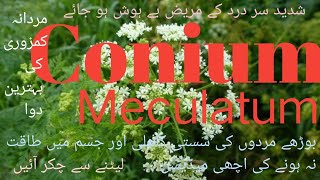 Homoeopathic medicine Conium Meculatum uses [upl. by Rediah145]