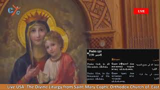 Live USA The Divine Liturgy from Saint Mary Coptic Orthodox Church of East Brunswick NJ [upl. by Kciredes615]