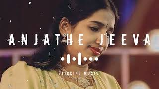 Anjathe Jeeva  Remix Song  Sloved and Reverb Track  Sticking Music  90s Hits  🎧🎧🎧 [upl. by Nanahs708]