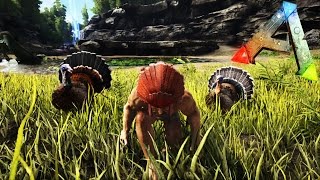 TODOS LOS COMANDOS PARA SPAWNEAR TODO DE TURKEY TRIAL 2  Ark Survival Evolved [upl. by Nnaear]