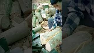 creative tool for splitting wood shorts [upl. by Aserehtairam839]