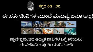 ಪ್ರಾಣಿ ಪ್ರಪಂಚದ ಅದ್ಭುತ ಜೀವಿಗಳು  ಕಗ್ಗದ ಕಿಡಿ  ೨೭  ಧರೆಯ ಬದುಕೇನದರ Mankuthimmana Kagga 27 [upl. by Mail273]