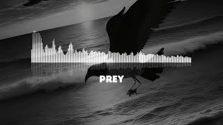 The Neighbourhood  Prey Instrumental [upl. by Aigil]